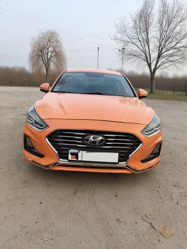 скутер с документами: Hyundai Sonata: 2019 г., 2 л, Автомат, Газ — 3