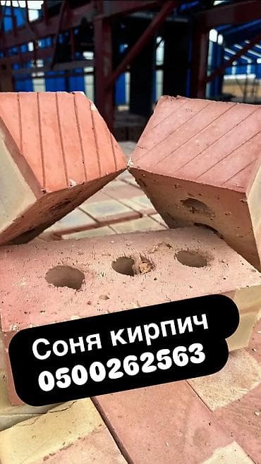 роза гулдор: Тешиктүү, Бышкан кирпич — 1