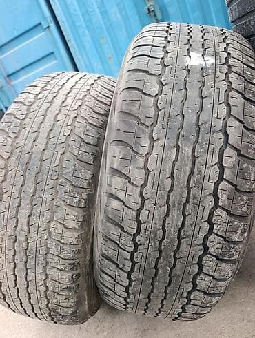 265: Шины 265 / 60 / R 18, Лето, Б/у, Пара, Внедорожные (АТ/МТ), Япония, DUNLOP — 1