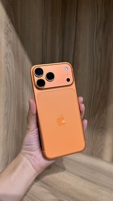 aoc 24: IPhone 17 Pro Max 256 ГБ
С каробкой — 1