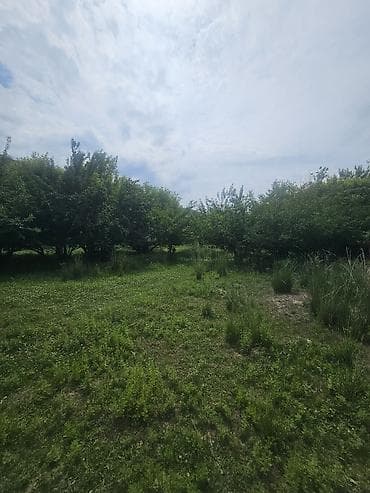 31 соток, Бизнес үчүн, Техпаспорт, Сатып алуу-сатуу келишими — 5