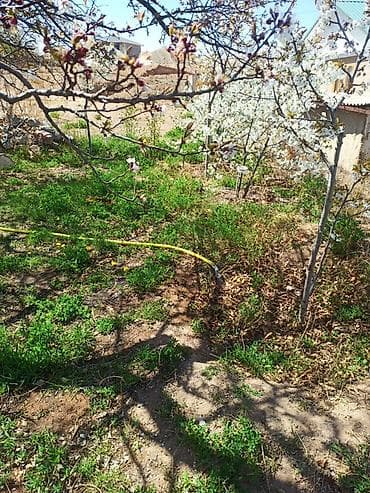 Продажа участков: 10 соток, Красная книга — 6