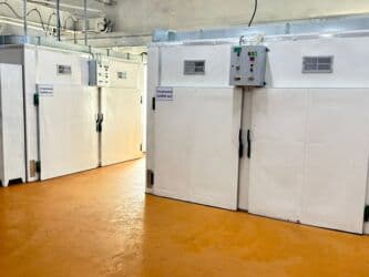 срочно продаю в связи с переездом: Куруты ОПТОМ из производства!!! Натуральный! Принимаем заказы! Готовы — 12