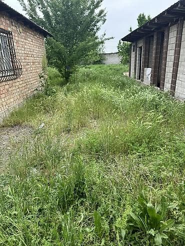 услуги по дому: Уборка территории, Уборка двора и сада — 7