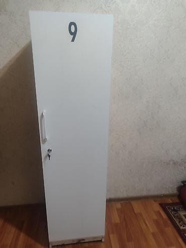 Офисная мебель: Шифоньер, шкаф для одежды, Прямой, ЛДСП — 2