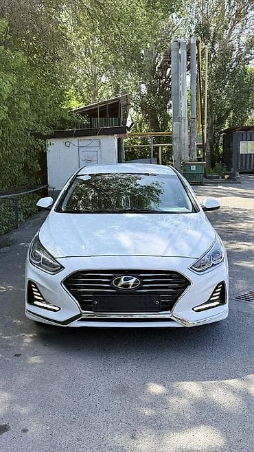 дверь сапог: Hyundai Sonata: 2021 г., 2 л, Автомат, Газ, Седан — 2