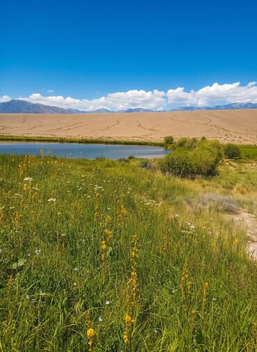 продается дом кок жар: Дом, 40 м², 4 комнаты, Собственник, Косметический ремонт — 2