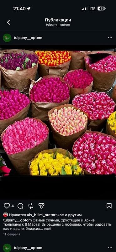 цветы много разных: Тюльпаны свежего среза — однотонные и пёстрые сортовые варианты. - — 3