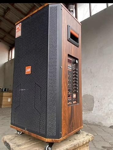 Аренда колонки на выбор Подходит на все мероприятия Звучат чисто и