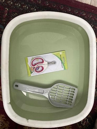 купить животных в бишкеке: ​🐱 Стартовый набор для котика: Переноска-рюкзак + Лоток + Аксессуары — 1