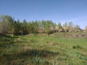 дом арча бешик аренда: 50 соток, Айыл чарба үчүн, Кызыл китеп, Техпаспорт, Сатып алуу-сатуу келишими — 12