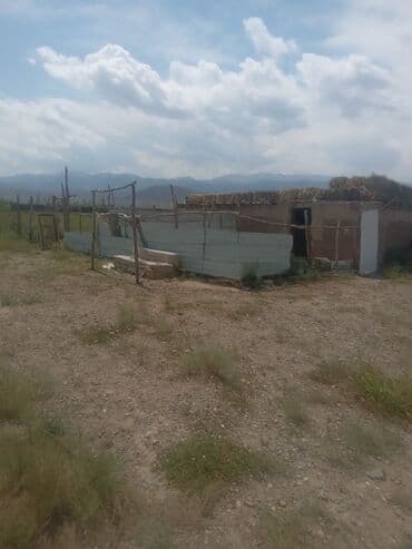 дом биримдик: Продаю Кошара, 1000 соток, Действующий, Частично с оборудованием, Электричество, Скважина — 4
