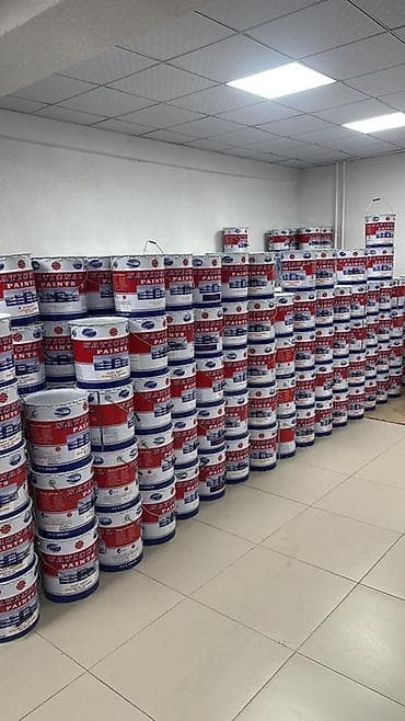 краска на авто: Краски и покрытия NATIONAL PAINTS Профессиональная линейка — 5