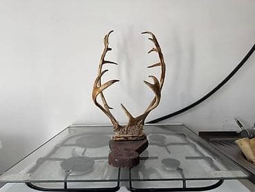 silver kitchen: Срочно продается обращайтесь в личку — 4