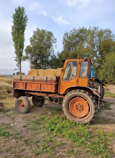 купить шины r 17: Продается Трактор Т-16 с самосвальным кузовом вместе с прицепом Все — 2
