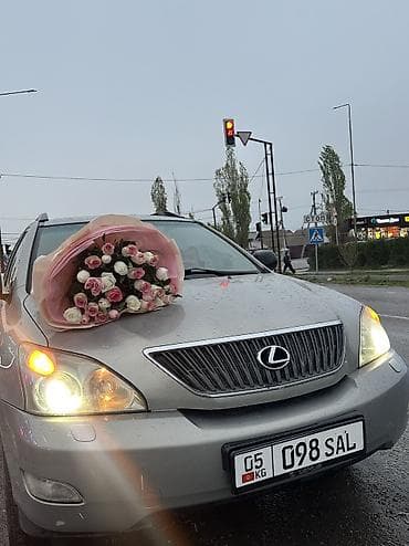lexus 600: Lexus RX: 2005 г., Автомат, Газ, Внедорожник — 4