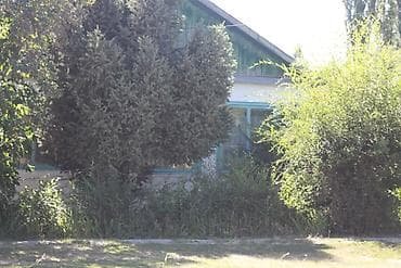 ысык куле: 🏡СРОЧНО!!! продается дом в селе Михайловка! Просторный дом из 6 — 1