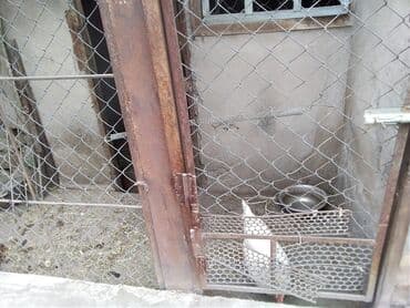 продаю или меняю квартиру на дом: Барачный, 64 м², 3 комнаты, Собственник, Косметический ремонт — 16