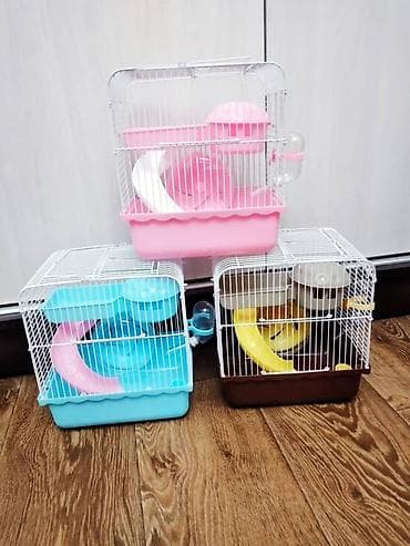 Услуги ветеринара: ПРОДАЮ СИРИЙСКИХ И ДЖУНГАРСКИХ ХОМЯЧКОВ,А ТАК ЖЕ — 10