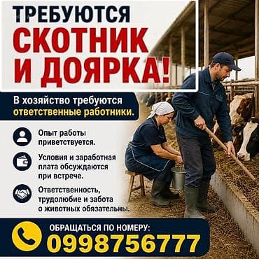 швейа надомница: Вакансии: скотник и доярка. Ты В сельскохозяйственное хозяйство — 1