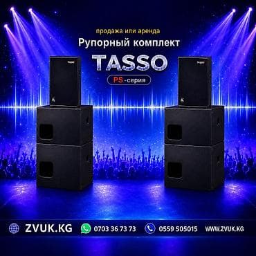 открыто: Рупорный комплект TASSO PS Профессиональная акустическая система для — 1