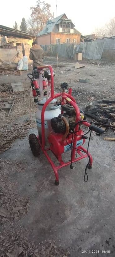 породистые кошки в добрые руки: Дойка сатылат — 4