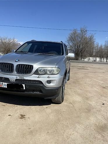 катализатор продам: BMW X5: 2001 г., 3 л, Типтроник, Бензин, Кроссовер — 3