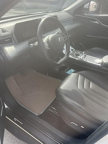 w124 e320: Weltmeister EX5, 2022 г. — 4