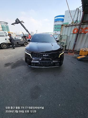 hyundai celesta: Kia Sorento: 2022 г., Кроссовер — 4