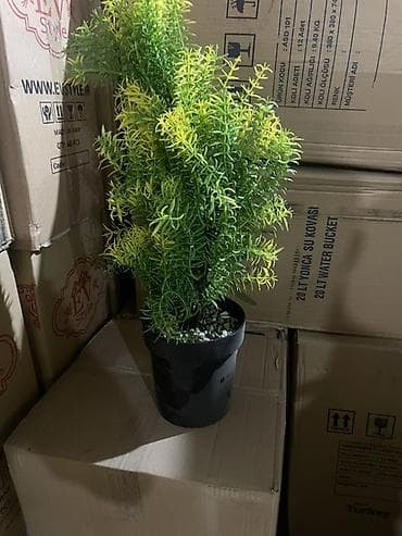 Искусственное декоративное растение в горшке - Реалистичная