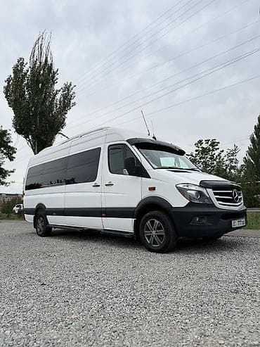 Транспорт: Mercedes-Benz Спринтер: 2008 г., 3 л, Механика, Дизель, Минивэн — 1