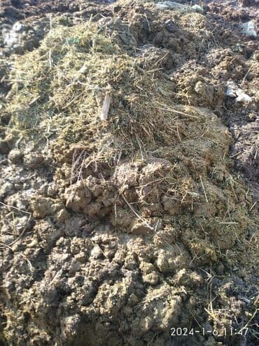 трава для животных: Перегной, навоз — 3