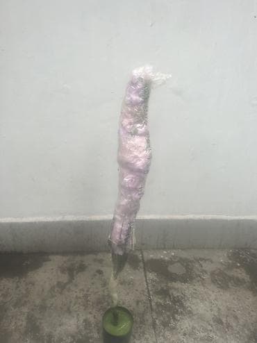 Салюты и эффекты: Декор для дома и сада — 2