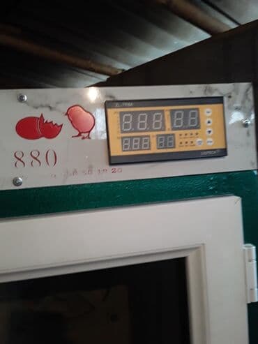 товары для животных: Товары и оборудование для с/х животных — 6