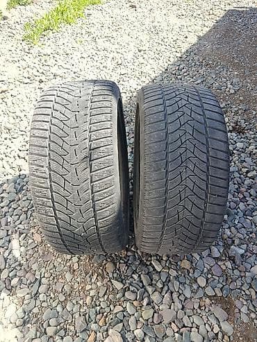 кыш: Шиналар 225 / 45 / R 17, Кыш, Жуп, Жеңил унаалар, Dunlop — 2