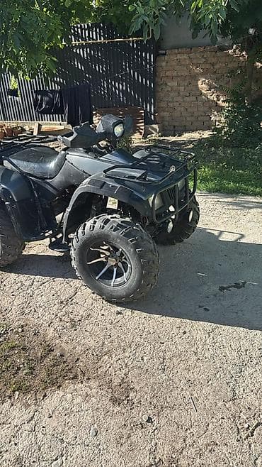 Мототехника: Квадроцикл утилитарного класса, полноразмерный, 4 колеса. Основные — 5