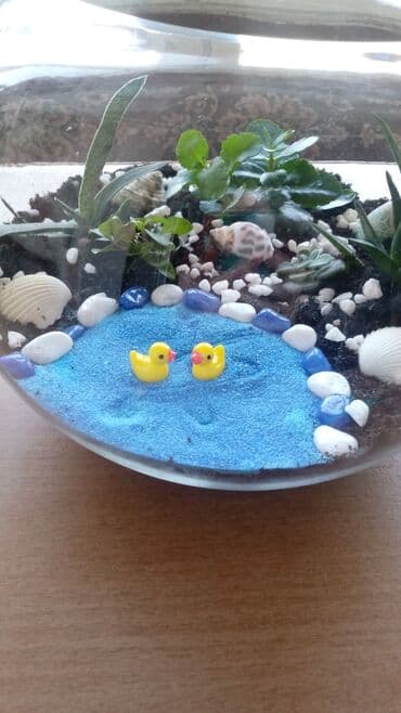 купить аквариум для рыбок недорого: Флорариумы на заказ. Идеальный и необычный подарок. Хотите удивить — 2