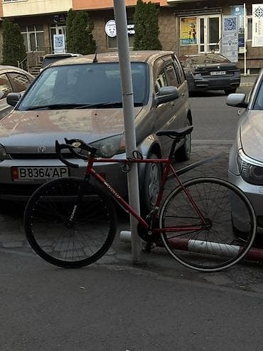 Шоссейный велосипед, Tsunami
