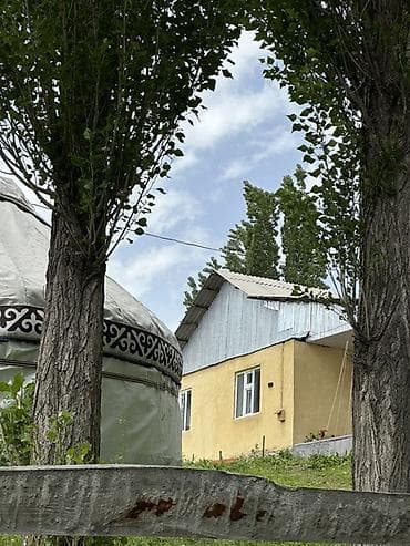 первый май: КЫМЫЗОЛЕЧЕНИЕ с панорамным видом в горы 😍 5 разовое кобылье молоко 3 — 10