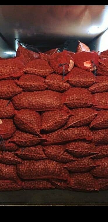 кровать трансформер 7 в 1: Продаю 600кг отборные грецкие орехи 100с за кг и сухофрукт — 3