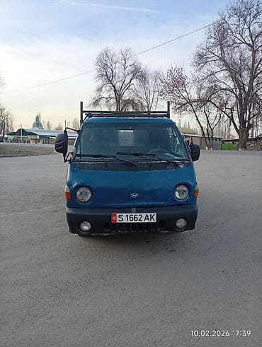 хара: Сатам | Бука (эркек) | Бордоп семиртүү үчүн | Асыл тукумдуу — 5