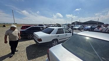 авто вит: Mercedes-Benz W124: 1989 г., 2.3 л, Механика, Дизель, Седан — 3