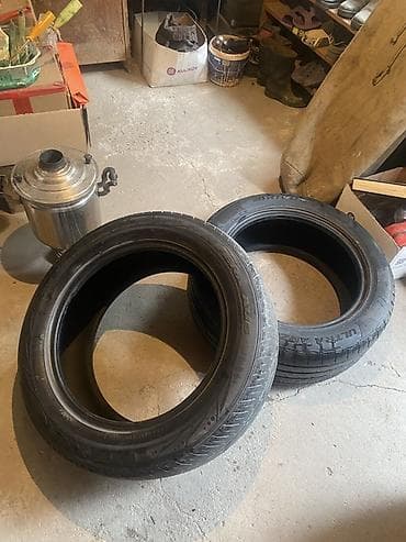 Шиналар 225 / 55 / R 17, Жай, Колдонулган, Жуп, Жеңил унаалар, Arivo — 1