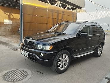 BMW X5: 2003 г., 3 л, Автомат, Бензин, Внедорожник