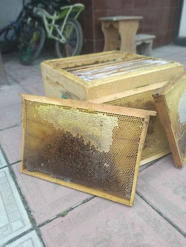 Пчелиные рамки с сушью для ульев. Описание: - Деревянные Город