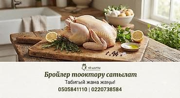 Продукты питания: 🏠 Үй шартында өстүрүлгөн БРОЙЛЕР тооктору сатылат! Мыкты сапат — 1