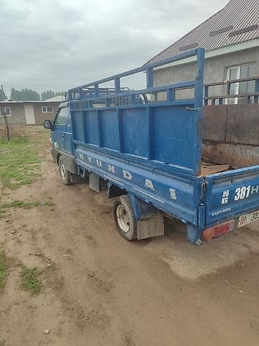 shkoda octavia: Легкий грузовик, Hyundai, Стандарт — 9