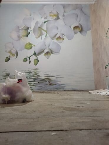 обзор цен на строительные и отделочные работы в бишкеке: Больше 6 лет опыта — 6