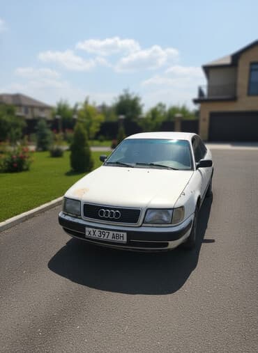 Audi 100: 1993 г., 2.3 л, Механика, Бензин, Седан