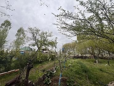 участок 15000: 5 соток, Для сельского хозяйства, Красная книга — 4